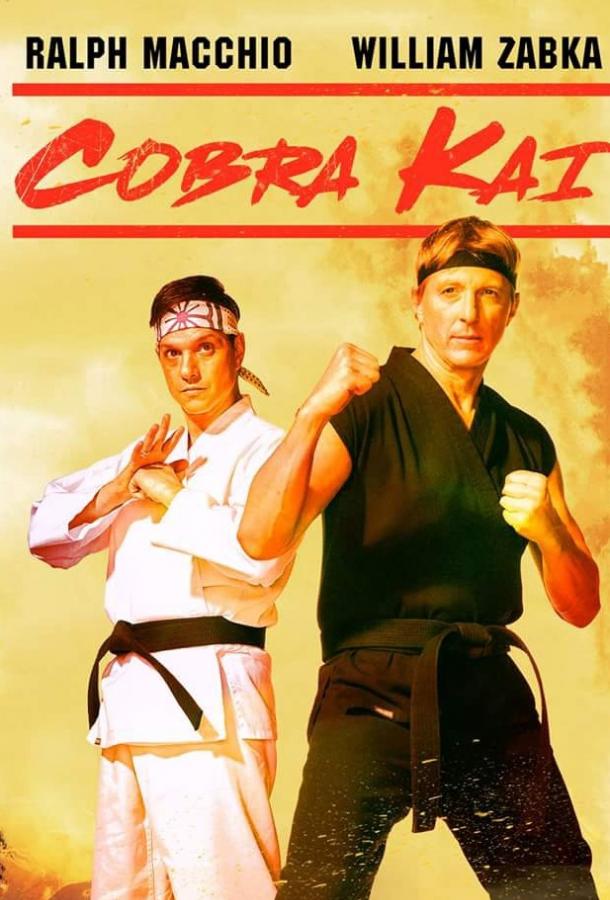 Смотреть на Лордфильм 2.0 Сериал Кобра Кай 2018